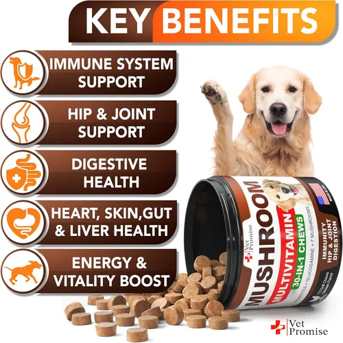 Miniatura 3 de Hongo Cola de Pavo para Perros - 170 Masticables - Suplemento de Hongos para Perros - Melena de León - Reishi - Apoyo Inmunológico Multivitamínico