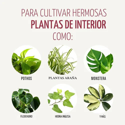 Miniatura 7 de Miracle-Gro Mezcla para Macetas de Plantas de Interior: Suelo Fertilizado con Perlita para Jardinería de Interiores, Diseñado para ser Menos