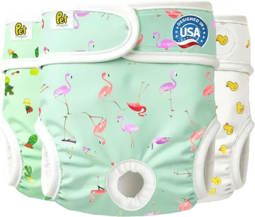 Pet Magasin - Pañales reutilizables lavables para perros, altamente absorbentes, con velcro fuerte y flexible, paquete de 3, diseño moderno, Talla