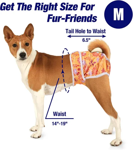 Miniatura 6 de Pet Soft Pañales para Perras Hembras, Paquete de 3 Pañales Lavables para Perras Hembras en Celo, Bragas Reutilizables para el Período de las Perras
