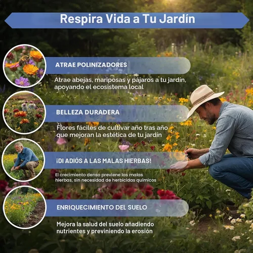 Miniatura 5 de Organo Republic Mezcla de 16 semillas de flores silvestres perennes para interiores y exteriores, más de 25,000 semillas de jardín de flores