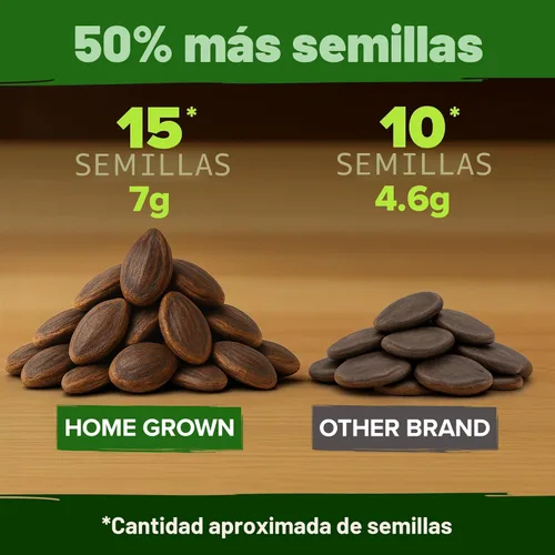 Miniatura 4 de HOME GROWN Semillas de sandía orgánicas sin OMG (Crimson Sweet) 15 Semillas autóctonas, sin OMG, de sandía (7g) para plantar en jardines caseros