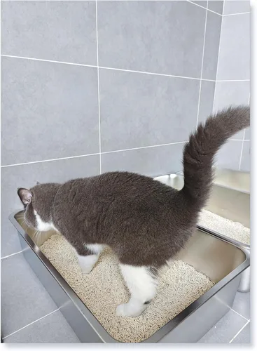 Miniatura 2 de IKITCHEN Caja de arena de acero inoxidable para gatos, bandeja de arena de metal grande para gatos, caja de arena para gatos nunca absorbe olores