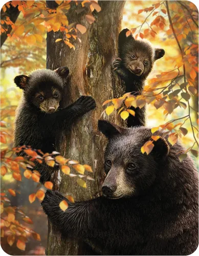 Miniatura 19 de 3D LiveLife Imán - A Love So Grand de Deluxebase. Imán lenticular para refrigerador de animales salvajes. Imanes planos decorativos 3D Gorilla.
