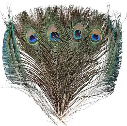 Miniatura 12 de iHUFeather 10 plumas naturales de ojo de pavo real de 10 a 12 pulgadas para arreglos florales, bodas, hogar y decoración de fiestas, natural