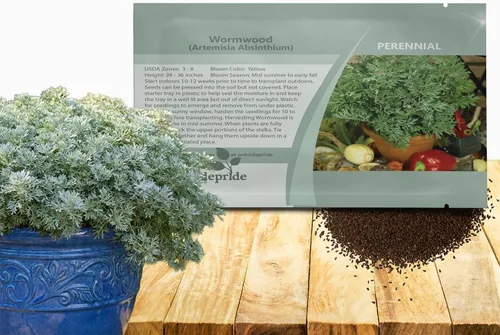 Outsidepride Semillas de ajenjo - 5000 piezas. Perenne, fácil de cultivar y tolerantes a la sequía, semillas de hierbas para plantar aromáticas,