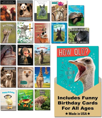 Leanin' Tree Wildly Funny - Made In USA - 20 Tarjetas Surtidas con Sobres para Todas las Ocasiones, Tarjetas de Cumpleaños Suficientemente