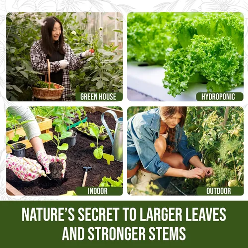 Miniatura 4 de PlantVantage Fertilizante líquido para plantas de crecimiento prémium - Fertilizante NPK (8-16-8) con zinc y hierro, alimento líquido para plantas