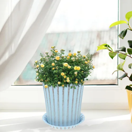 Miniatura 6 de Happyyami 2 juegos de macetas de orquídeas macetas decorativas para bonsái, maceta de interior con macetas de drenaje para plantas, macetas