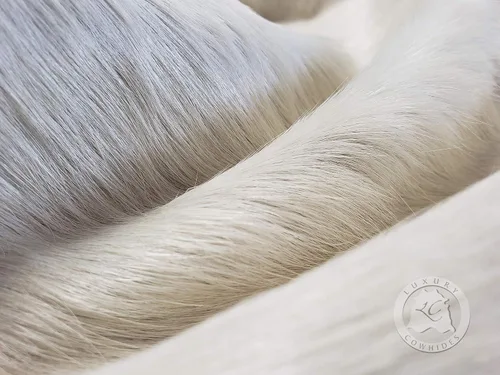 Miniatura 8 de Sunshine Cowhides Alfombra 100% auténtica de piel de vaca blanca natural, alfombra de estilo moderno de piel de animal y alfombra para el suelo