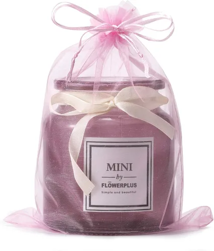 Volanic - Bolsa de regalo de organza con cordón transparente de 6 x 9 pulgadas (15 x 23 cm), bolsa de joyería para muestras de mini botellas, favor