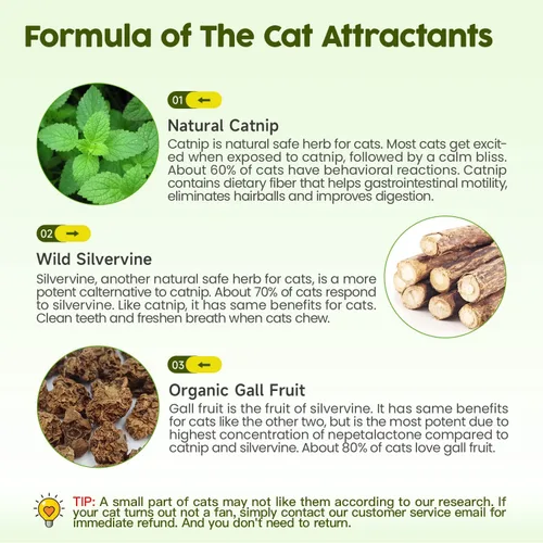 Miniatura 5 de Potaroma Juguetes de hierba gatera, 3 piezas de juguetes para gatos, bolas de jaula de pino plateado natural y bola de campana para gatos