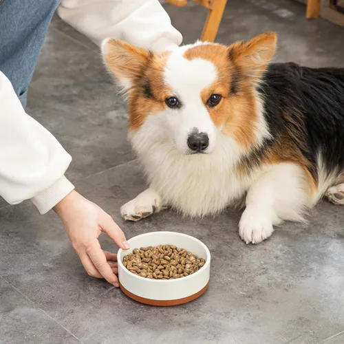 Miniatura 9 de MALACASA Cuencos para Perros, Cuencos de Cerámica para Comida y Agua para Perros de Tamaño Pequeño, Tazón para Mascotas de 1.5 Tazas de Capacidad