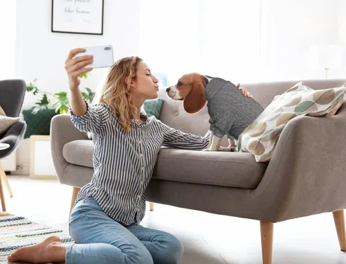 Miniatura 5 de Suéteres para perros grandes, cuello alto, ropa de punto para mascotas, suéter de color sólido para cachorros, suéter cálido para perros (gris y L)