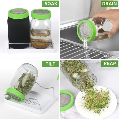 Miniatura 6 de Kit de tarro de germinación de semillas con tarros Mason de boca ancha, tapas de brotes de pantalla de acero inoxidable de alta calidad, mangas