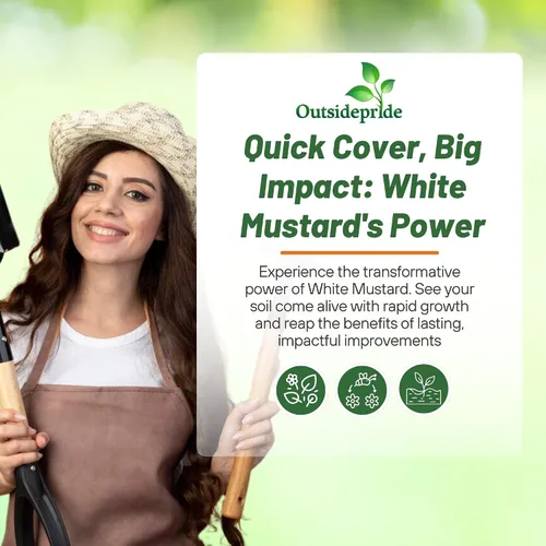 Miniatura 5 de Outsidepride Semillas de mostaza blanca para plantar, semillas de cultivo de cobertura anual de 5 libras con sistema de raíces profundas, forraje