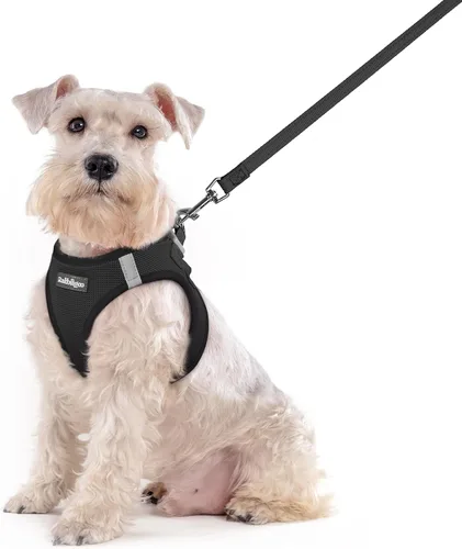Miniatura 27 de rabbitgoo Juego de arnés para perro de tamaño pequeño y correa, chaleco ligero suave para cachorro, arnés de malla transpirable para mascotas