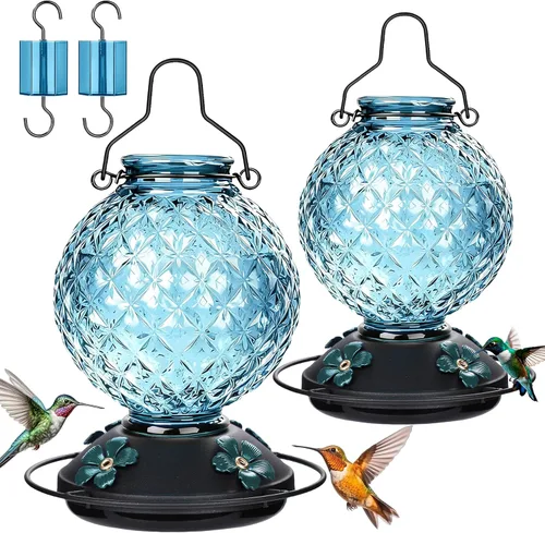 25 OZ Glass Hummingbird Feeder for Outdoors, Leak Proof Hummingbird Feeder with Ant Moat, 4 Bee Resistant Feeding Ports, Easy Clean Wide Mouth
