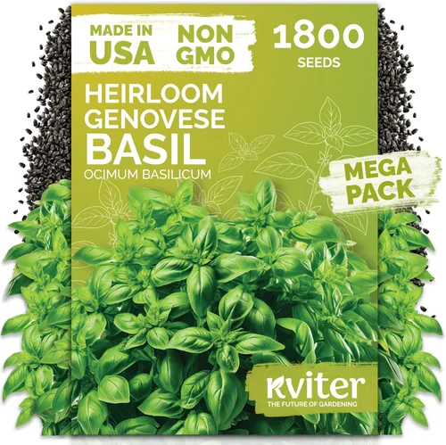 Miniatura 25 de KVITER 1000 semillas de quinua de cordero (Chenopodium Album) - Hierbas comestibles autóctonas, ideales para jardines de hierbas orgánicas