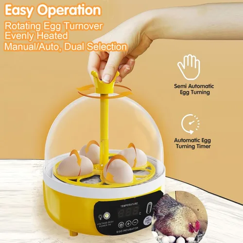 Miniatura 7 de Tissting Mini incubadora de 4 huevos con tapa transparente, control automático de humedad de temperatura de 7 W, máquina de incubación de aves