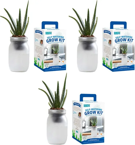 Back to the Roots Kit de cultivo de riego automático, macetas hidropónicas de vidrio para suculentas y sistema de riego automático de cactus