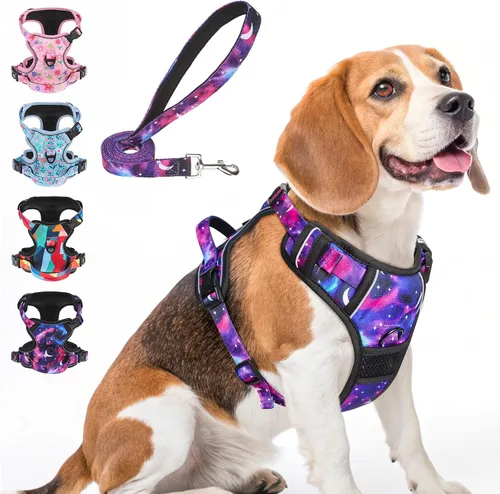 Miniatura 18 de BEAUTYZOO Arnés para perro sin tirones pequeño, juego de arnés y correa ajustable para perro - Fácil de usar con 3 hebillas/mango de control, arnés