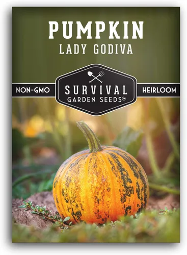 Lady Godiva - Semillas de calabaza para plantar, calabazas Pepita de Estiria sin Hulless, variedad de reliquia sin OMG para asar y cosecha de otoño,