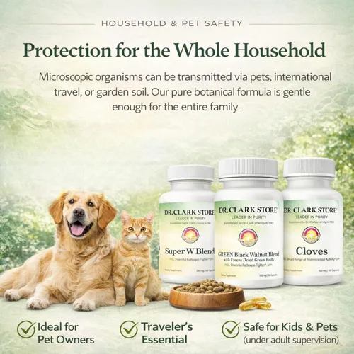 Miniatura 6 de Dr Clark Store Kit de apoyo y limpieza intestinal, con cáscaras de nogal verde negro liofilizadas, ajenjo y clavo de olor, ayuda a mantener una