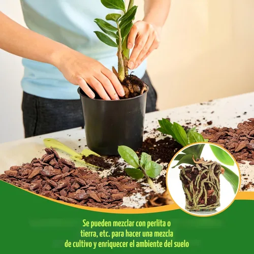 Miniatura 7 de Legigo Corteza Orgánica para Macetas de Orquídeas de 2 Cuartos de Galón - Mezcla Totalmente Natural de Corteza de Orquídea para Macetas, Astillas