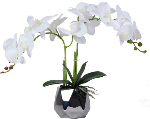 W&W Arreglo de plantas y flores de orquídeas artificiales en maceta de cerámica, orquídea blanca falsa con jarrón plateado, orquídeas falaenopsis