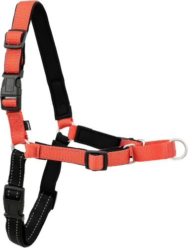 Miniatura 15 de PetSafe Arnés Deluxe Easy Walk – Arnés de pecho para perro de confianza del entrenador con diseño de bucle martingala transpirable – Ayuda a dejar