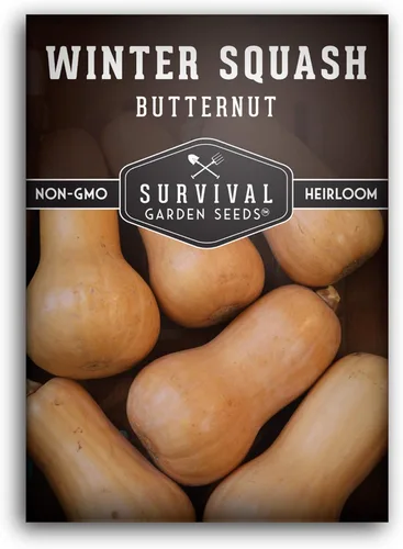 Miniatura 10 de Semillas de calabaza Butternut para plantar - Semillas de vegetales tradicionales no transgénicos - Cultivo de alto rendimiento y fácil de cultivar