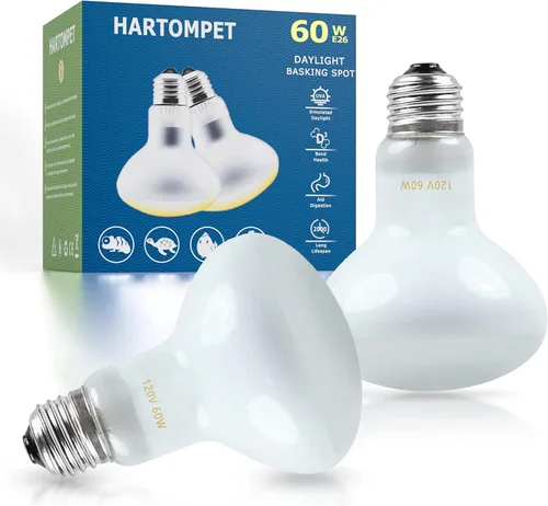 Bombillas de calor para reptiles E26 de 60 W, luz UVA para dragón barbudo, lagarto, tortuga, pollitos, otros reptiles y anfibios, lámparas de calor