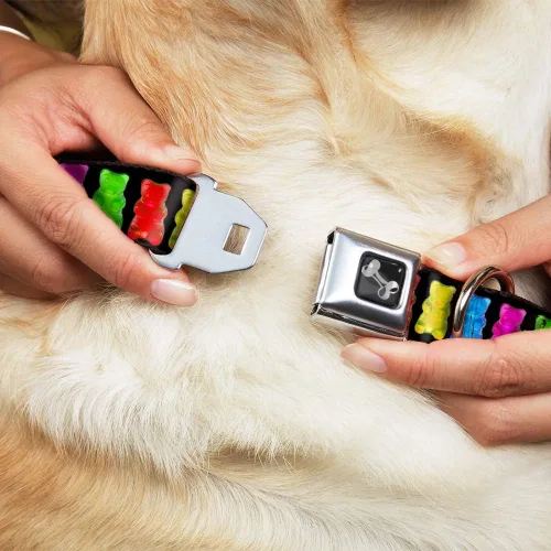 Miniatura 8 de Buckle-Down Collar de perro con hebilla de cinturón de seguridad, osos gomitas, negro/multicolor, 1.5 pulgadas de ancho, se adapta a cuello de 13-18