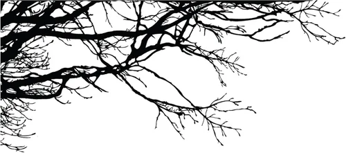 Miniatura 3 de Adhesivo decorativo para pared de árbol grande, ramas negras semi-brillantes, (21 x 50 pulgadas) de izquierda a derecha. Extraíble, no necesita
