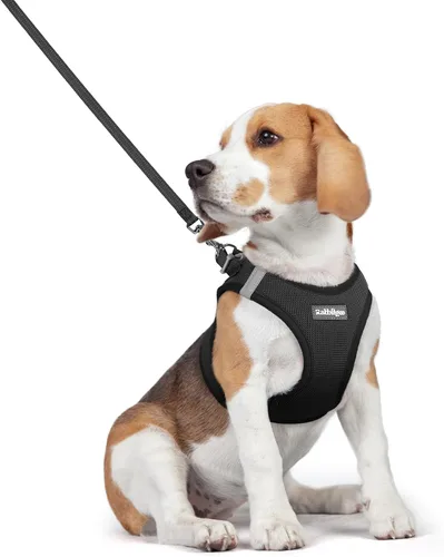 Miniatura 140 de rabbitgoo Juego de arnés para perro de tamaño pequeño y correa, chaleco ligero suave para cachorro, arnés de malla transpirable para mascotas