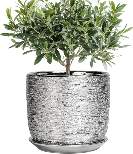 Miniatura 50 de Maceta de Cerámica para Plantas de Interior de 5 Pulgadas - Maceta Redonda para Plantas Suculentas con Agujero de Drenaje y Platillo, Decoración