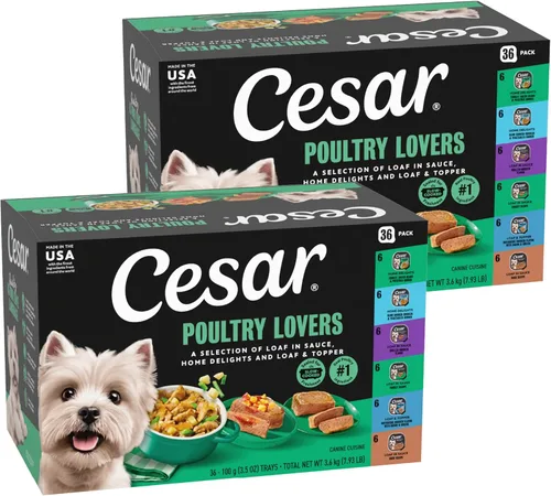 Cesar Classic Loaf in Sauce - Alimento húmedo para perros adultos, para amantes de las aves de corral, paquete variado con pollo real, pavo o pato,