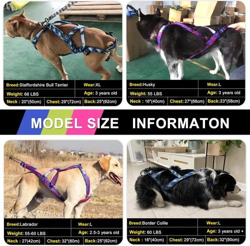 Miniatura 3 de PET ARTIST Arnés de tracción de peso para perro, entrenamiento de velocidad, arnés de trineo para perros medianos y grandes, azul, XL