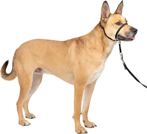 Miniatura 31 de Collar suave de conducción con DVD de entrenamiento PetSafe, Púrpura profundo Violeta intenso