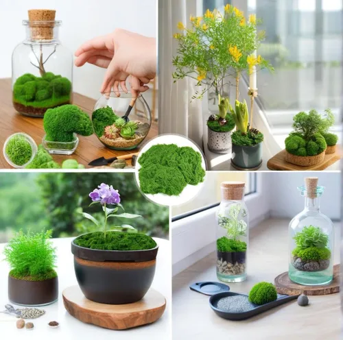 Miniatura 5 de Musgo verde claro falso para plantas en maceta, 3.5 onzas, musgo sintético artificial para manualidades, musgo preservado para bricolaje, centros