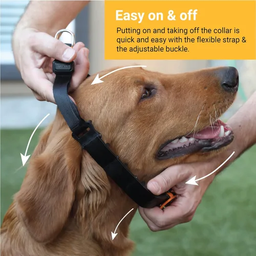 Miniatura 4 de SVD.PET Collar de punta para perro para entrenamiento sin tirones, hebilla de liberación rápida ajustable para perros pequeños, medianos y grandes