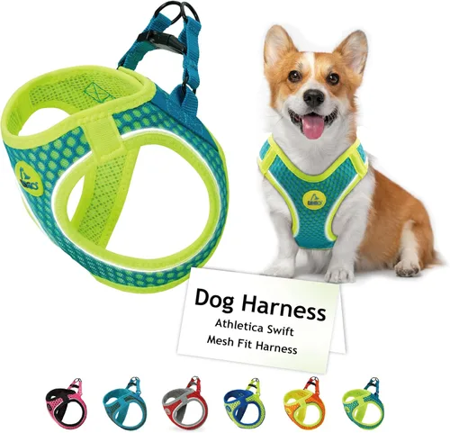 Miniatura 9 de DOCO Arnés para perro │ Arnés para cachorros Athletica para perros pequeños │ Chaleco resistente sin estrangulamiento, ligero reflectante