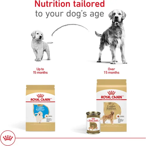 Miniatura 6 de Royal Canin Breed Health Nutrition Golden Retriever - Alimento seco para perros adultos, bolsa de 5 libras