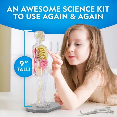 Miniatura 5 de Modelo del Cuerpo Humano de National Geographic para Niños que Brilla en la Oscuridad - Modelo de Anatomía Interactivo de 32 Piezas con Huesos