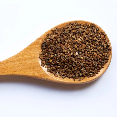 Miniatura 4 de 1100 Green Gotu Kola Seeds - Hat Rau Ma - Semilla de hoja grande Centella Asiática Vegetal Indian Pennywort Sin OMG Orgánico Heirloom
