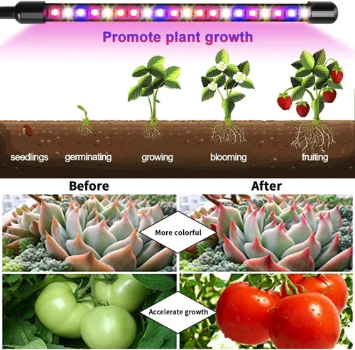 Miniatura 6 de Garpsen Luces para Plantas, Luces de Crecimiento de 3 Cabezas Rojo Azul Blanco Cálido Espectro Completo para Plantas de Interior, Luz de Crecimiento