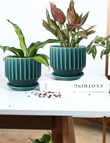 Miniatura 5 de AISBUGUR Macetas de cerámica de 6 pulgadas para plantas de interior, juego de 2 macetas de diseño único de esmalte agrietado con orificio de drenaje