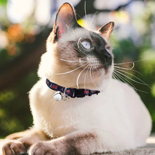 Miniatura 3 de Pets First MLB CAT Collar Atlanta Braves Satin Cat Collar de equipo de béisbol para perros y gatos. Un collar de gato brillante y colorido