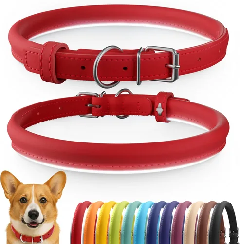 Miniatura 75 de CollarDirect Collar de perro con tachuelas, collares de cuero para mascotas para perros pequeños, medianos y grandes, acolchado suave, marrón, negro